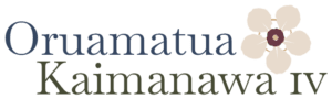 Oruamatau Kaimanawa Iv W Flower